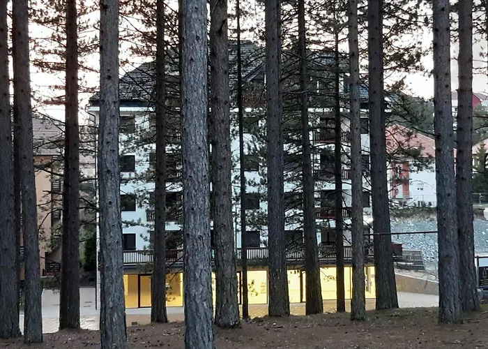 Prezident In Zlatibor