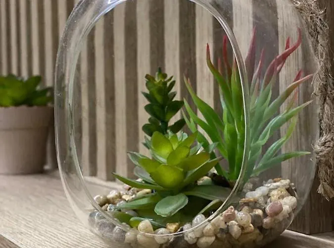 Prezident In Lejlighed