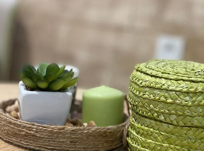 Prezident In Lejlighed Zlatibor